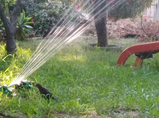 住宿加早餐酒店 Da Fabio 阿格罗波利