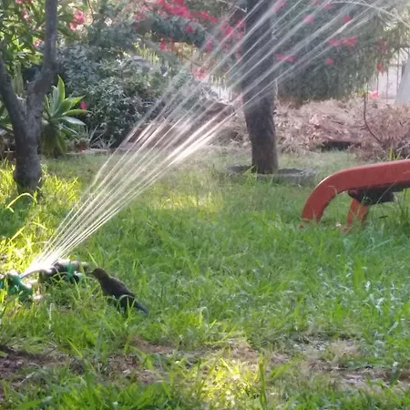 Oda ve Kahvaltı Da Fabio Agropoli